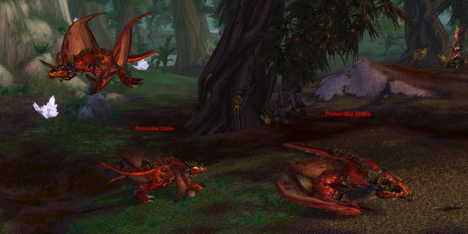 Sholazar Basin - Primordial Drakes Spot